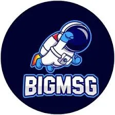bigmsg - GPS Offline Maps APK